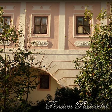 Pension Plesivecka 119 Český Krumlov Exterior foto