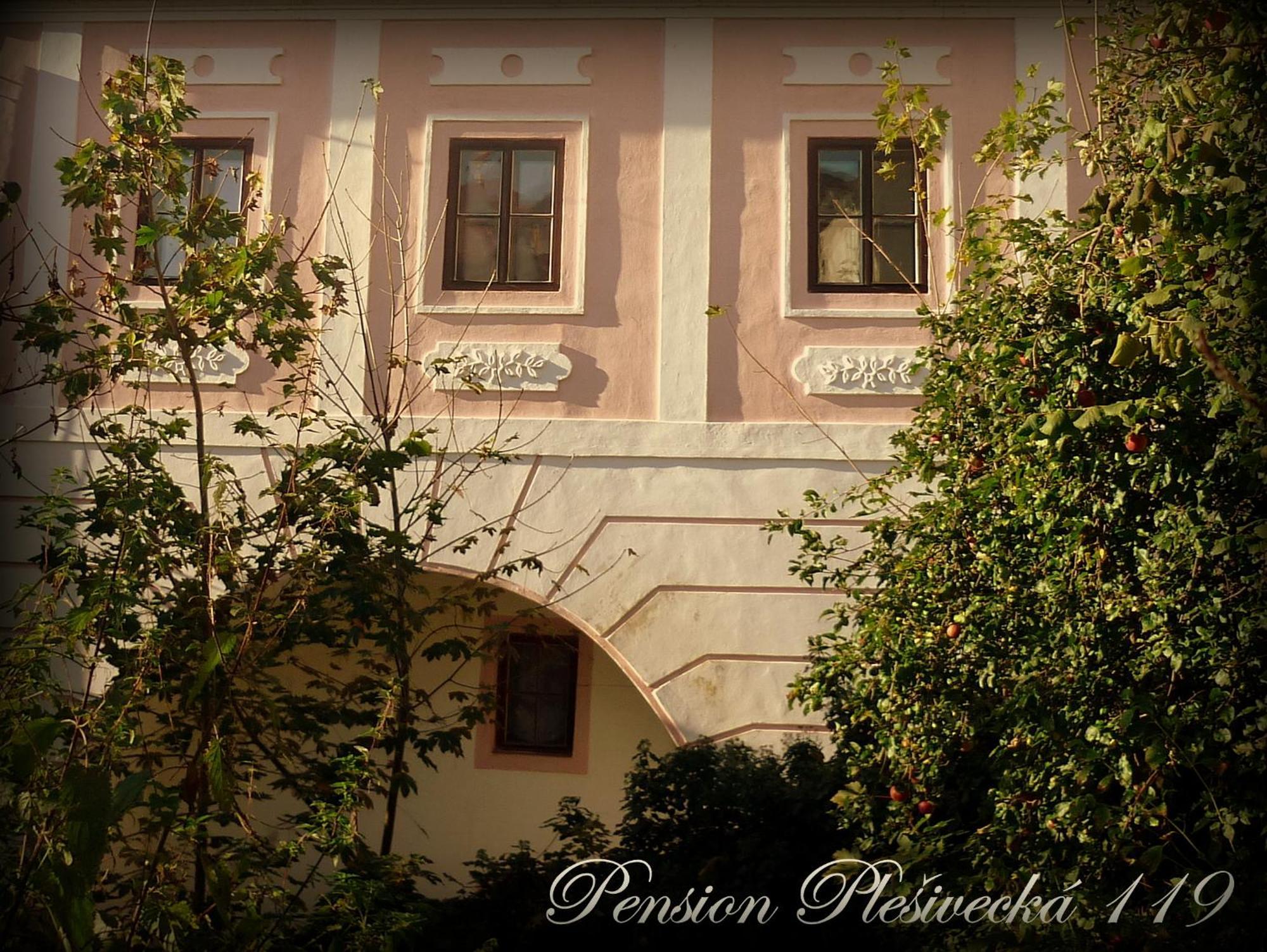 Pension Plesivecka 119 Český Krumlov Exterior foto