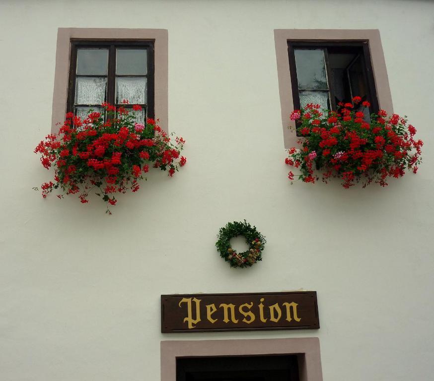 Pension Plesivecka 119 Český Krumlov Exterior foto