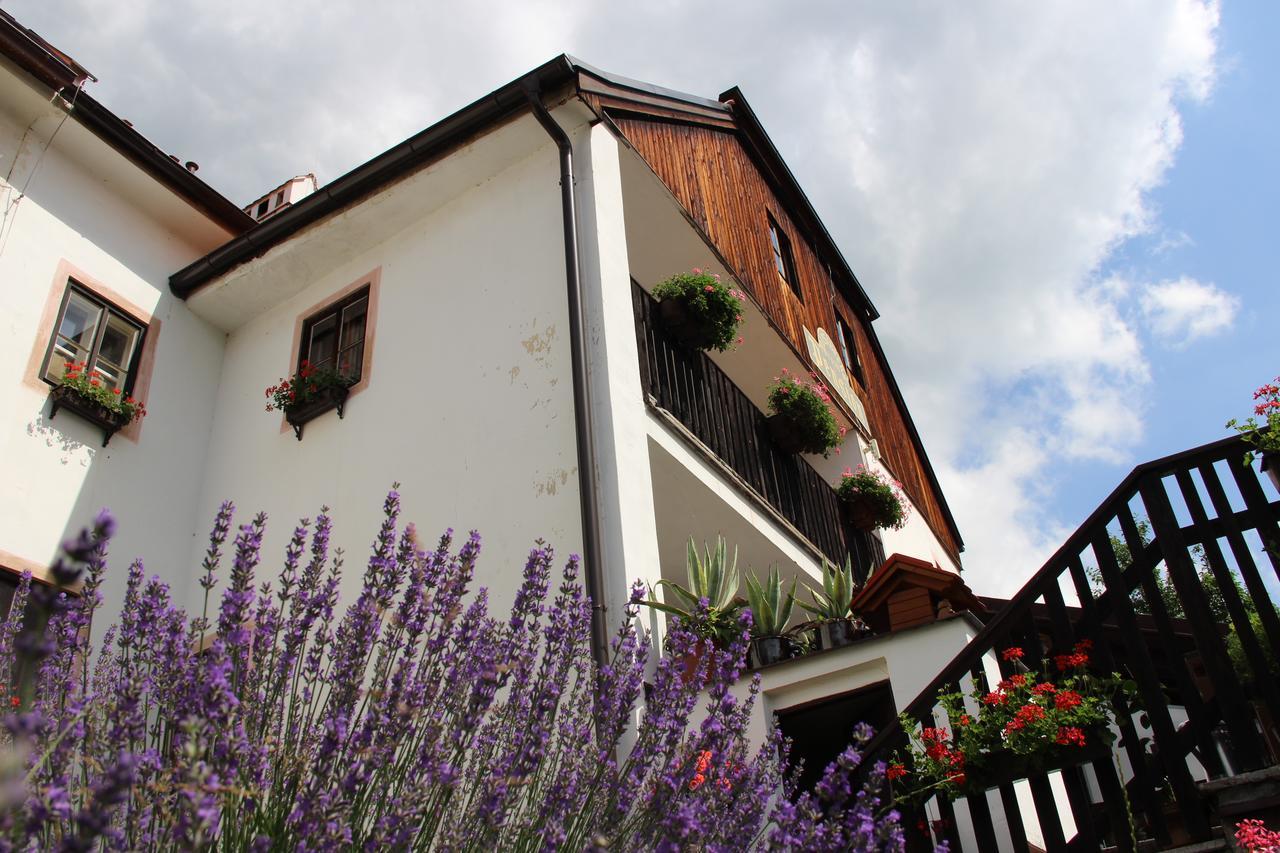 Pension Plesivecka 119 Český Krumlov Exterior foto